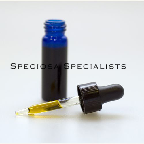 Full Spectrum Alkaloid Tincture -   150 mg alkaloids (2 mL)